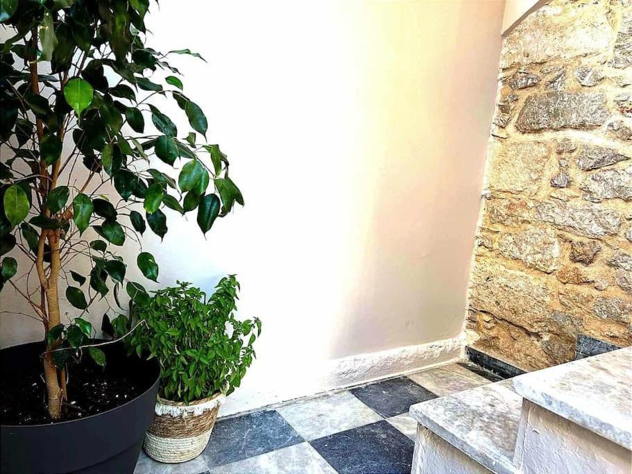 Ammoudara'S Apartments Rooftop Kalymnos Town Exterior photo